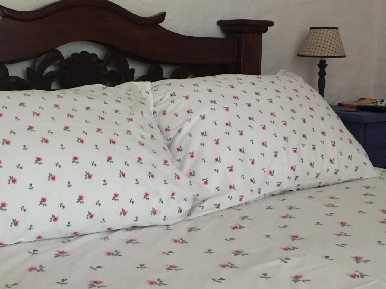 Hotel Casona Las Juanas San José de Pare Kültér fotó