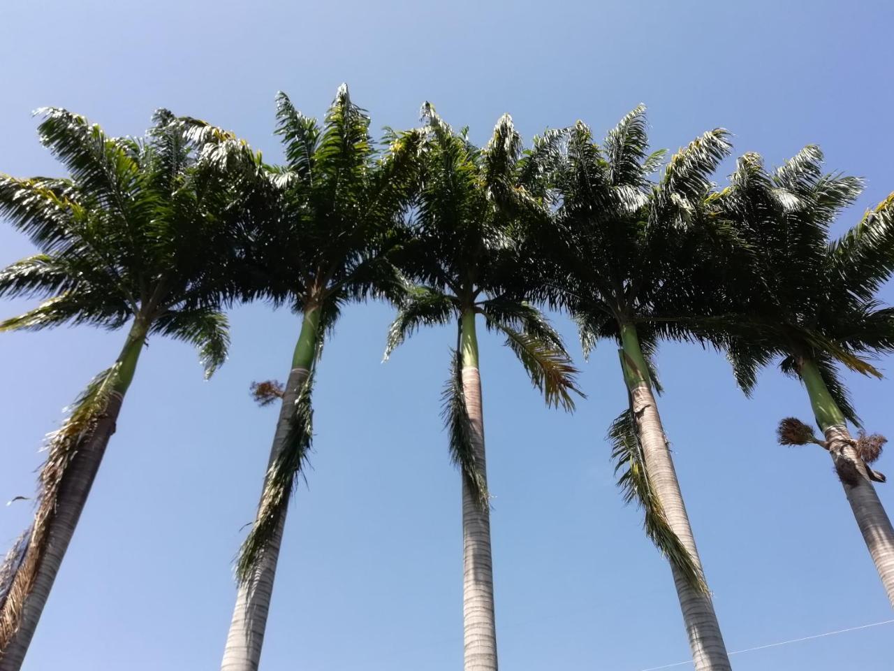 Hotel Casona Las Juanas San José de Pare Kültér fotó
